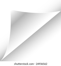 white paper page with curl, with space for your text, vector illustration