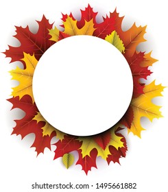 White paper round space on autumn background with beautiful colorful maple leaves. Season decoration - Vector