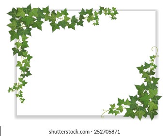 white paper sheet decorated hanging ivy