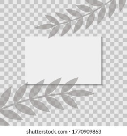 White paper sheet with shadow overlay tropical palm leaf. Vertical business Card or wedding invitation mock up. Template Flyer, card, poster, blank, social media post in minimal trendy style.