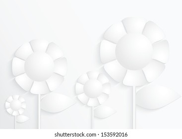 White paper Sunflower , VECTOR, EPS10