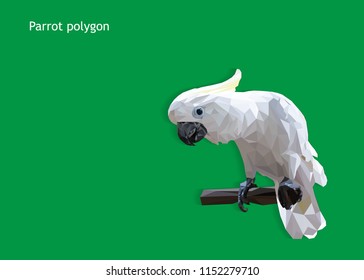 white parrot bird polygon with green background, animal bird wildlife concept, geometric and triangle shape , low poly modelling design, vector art and illustration,