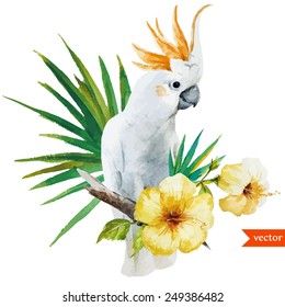 white parrot, hibiscus, tropical, palm tree