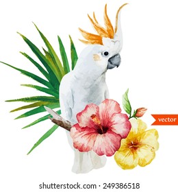 white parrot, hibiscus, tropical, palm trees, flowers