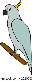 Loro blanco, ilustración, vector sobre fondo blanco.
