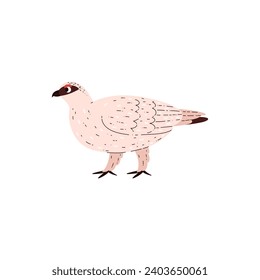 White partridge profile, Northern bird with white plumage. Wild animal of the tundra and taiga. Cartoon Arctic bird vector illustration isolated on white. Rotund gamebird, forest fauna