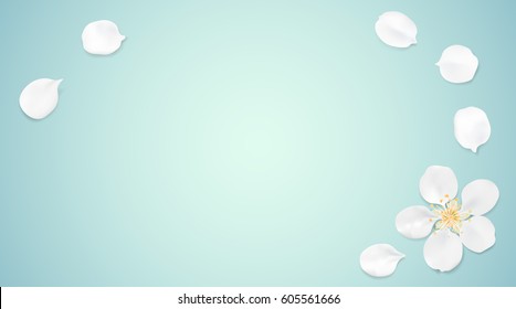 White pastel spring flower petals on blue color background . Cherry blossom petals illustration