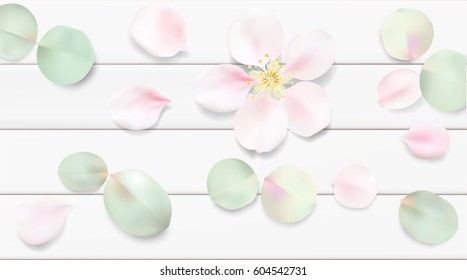 White pastel watercolor background. Soft green color leaves on wooden table illustration template