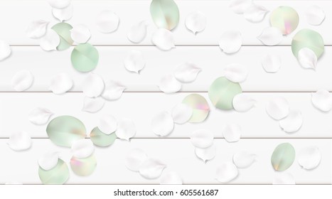 White pastel watercolor background. Soft green color leaves on wooden table illustration template