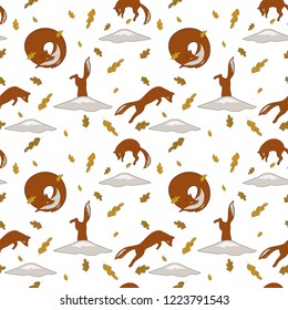 White pattern of jumping fox