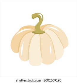 White pattison pumpkin Halloween is isolated on a white background. Vector illustration in cartoon style. Pumpkin, pattison for decorating invitations for the Halloween holiday
