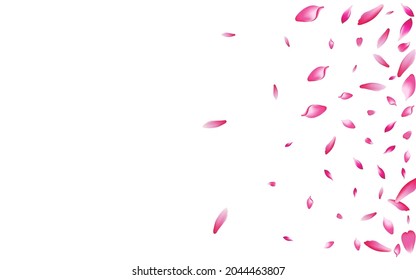 White Peach Petal Vector White Background. Transparent Romantic Cherry Petal Pattern. Sakura Petal Valentine Card. 3d Lotus Petal Frame.