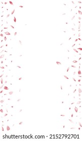 White Peach Petal Vector White Background. Color Fall Cherry Petal Backdrop. Lotus Petal Summer Banner. Bright Apple Petal Card.