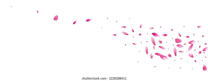 White Peach Petal Vector White Background. Pink Delicate Apple Petal Card. Lotus Petal Wedding Banner. Romance Sakura Petal Texture.