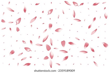White Peach Petal Vector White Background. Transparent Wedding Flower Petal Frame. Lotus Petal Fall Backdrop. Falling Apple Petal Poster.