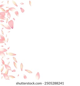 White Peach Petal Vector White Background. Color Soft Apple Petal Congratulation. Flower Petal Falling Frame. Realistic Rose Petal Template.