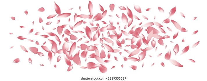 White Peach Petal Vector Panoramic Background. Pastel Bright Lotus Petal Cover. Rose Petal Japanese Poster. Wedding Sakura Petal Frame.