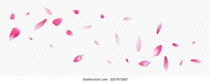 White Peach Vector Panoramic Transparent Background. Leaf Spa Poster. Heart Flutter Banner. Confetti Sky Illustration. Light Petal Isolated Backdrop.