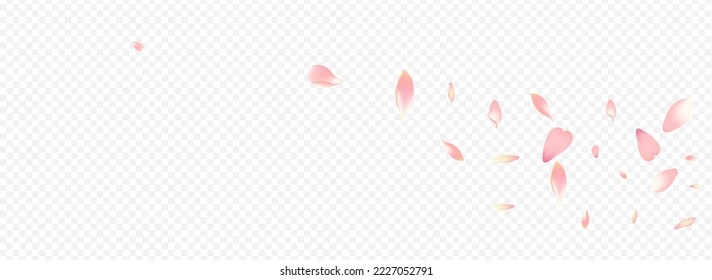 White Peach Vector Panoramic Transparent Background. Tree Spring Design. Confetti Feminine Pattern. Floral Valentine Banner. Bright Sakura March Card.