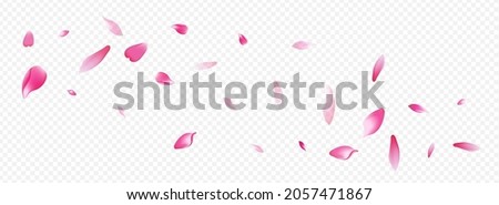 White Peach Vector Panoramic Transparent Background. Leaf Spa Poster. Heart Flutter Banner. Confetti Sky Illustration. Light Petal Isolated Backdrop.
