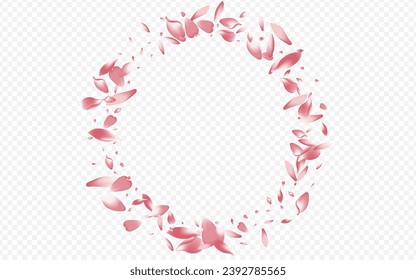 White Peach Vector Transparent Background. Bloom Valentine Banner. Petal Romance Design. Blossom Dream Card. Color Cherry Feminine Template.