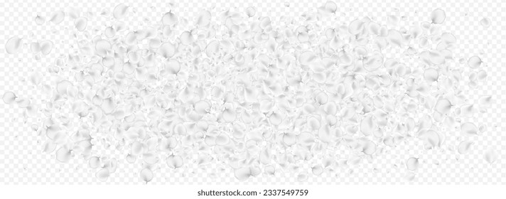 White Peach Vector Transparent Panoramic Background. Pastel Falling Flower Design. Tender Lotus Texture. Snowy Floral Flying Template.