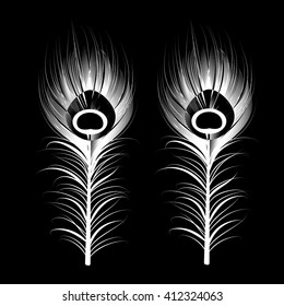 Las plumas de pavo real blanco sobre fondo negro