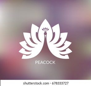 White peacock on blurred background. Vector illustration