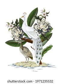 White peacocks and peonies. Vector