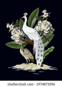 White peacocks and peonies. Vector