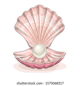 White Pearl In The Opened Clam, Pink Seashell