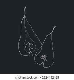 White Pears on black background. Pears outline design. Food line art 