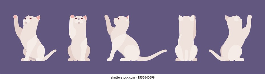 White pedigree cat playing. Active healthy kitten with beautiful fur and light coat, cute funny pet, home playful loving companion. Vector flat style cartoon illustration different views