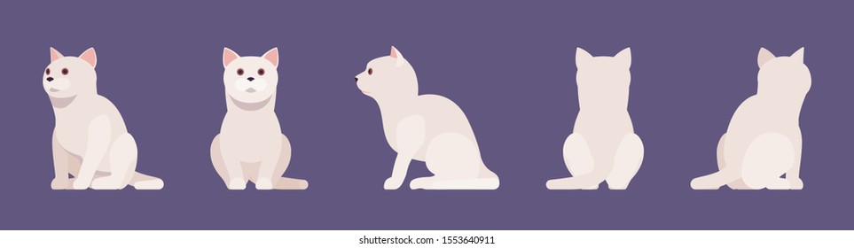 White pedigree cat sitting. Active healthy kitten with beautiful fur and light coat, cute funny pet, home playful loving companion. Vector flat style cartoon illustration different views