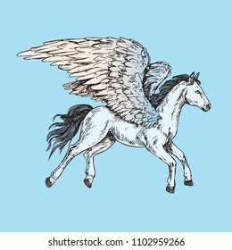 White Pegasus side view, hand drawn outline doodle sketch, vector illustration