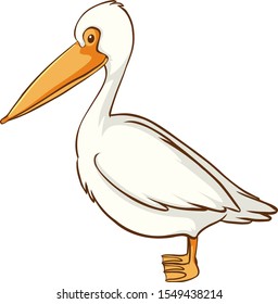 White pelican bird on white background illustration