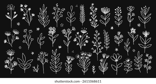 White pencil floral elements on chalkboard