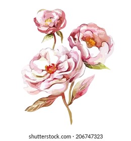 White Peonies