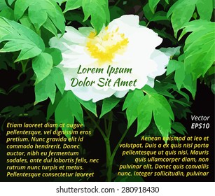 White peony background text presentation template vector design