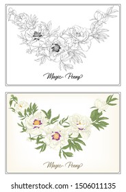 White Peony. Coloring page for the adult coloring book. with colored sample. Colored and outline design. Vector illustration. Isolated on white background.	