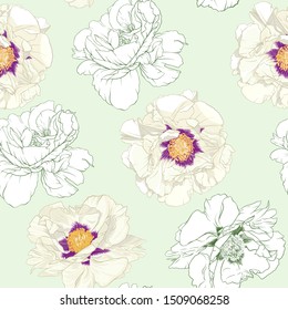 White peony flowers. Seamless pattern, background. Colored and outline design. Vector illustration. In botanical style On tea green background.	