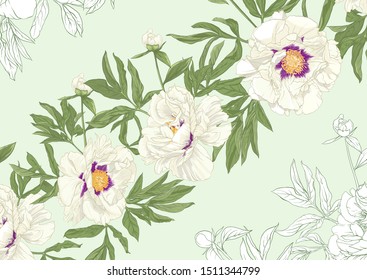 White peony flowers. Seamless pattern, background. Colored and outline design. Vector illustration. In botanical style On tea green background.	