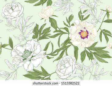 White peony flowers. Seamless pattern, background. Colored and outline design. Vector illustration. In botanical style On tea green background.	