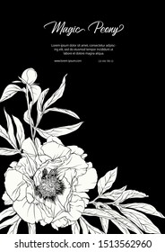 White Peony. Template for wedding invitation, greeting card, banner, gift voucher, label. Black and white graphics. Vector illustration.	