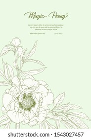 White Peony. Template for wedding invitation, greeting card, banner, gift voucher, label. Outline hand drawing vector illustration. On tea green background..