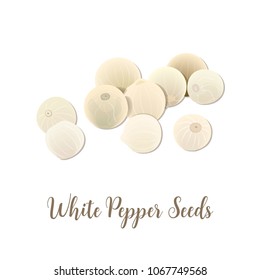 White pepper seeds on white background, top view. Aromatic corns. spice and seasoning, known as a peppercorn. Idea For cooking, seasoning, culinary, aromatherapy, cosmetics, spa logo price, tag, label