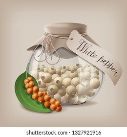 White Peppercorns in a glass jar with a branch of fruit pepper. Vector illustration