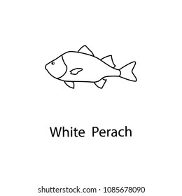 white perach icon. Element of marine life for mobile concept and web apps. Thin line white perach icon can be used for web and mobile. Premium icon on white background