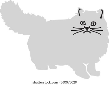 White persian cat