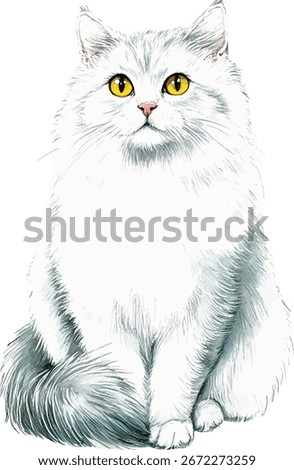 White Persian Cat Watercolor  vector illustration